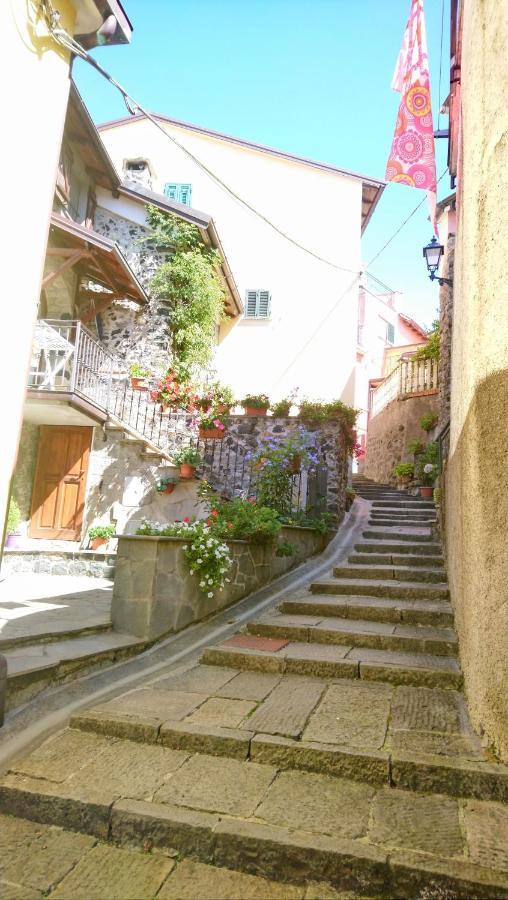 Casafiorita Villa Mattarana Exterior photo